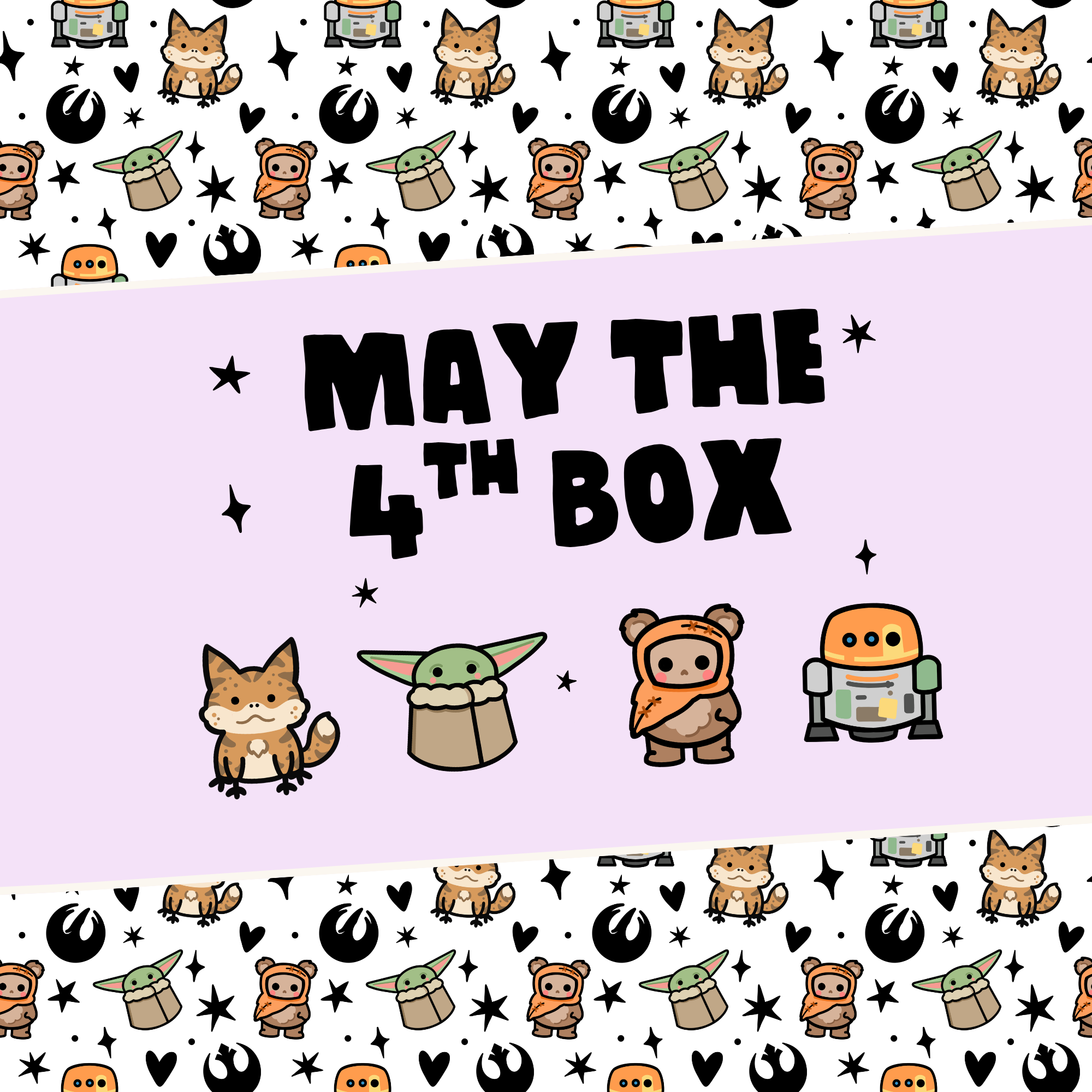 MAY 4TH BOX